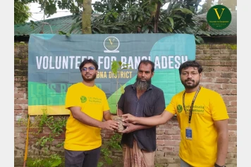 The Call of Green: Building a Greener Bangladesh, One Tree at a Time