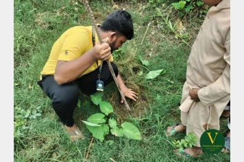 সবুজের অভিযাত্রা